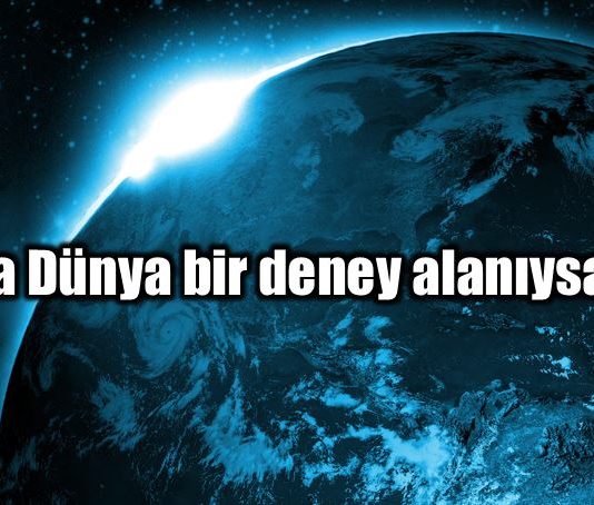 Nanoteknoloji nedir? Ya dünya bir deney alanıysa?