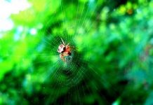 Sabır neden en zor sanattır?