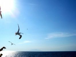 Huzur olmazsa? Hayatınızın sadece beş harfi