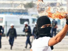 Türkiye Polis Kuvveti TPK iç güvenlik yasa tasarısı