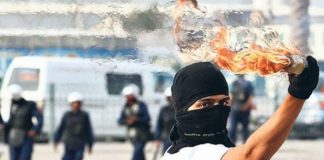 Türkiye Polis Kuvveti TPK iç güvenlik yasa tasarısı