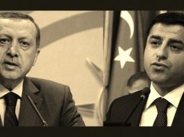 erdoğan demirtaş akp hdp işbirliği