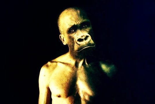 Çıkar için dönen kişilikler