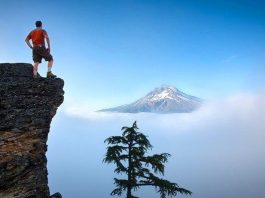 iletişim rol roller