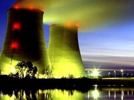 Nükleer Enerji Kumarı: Önce Akkuyu, sonra Sinop