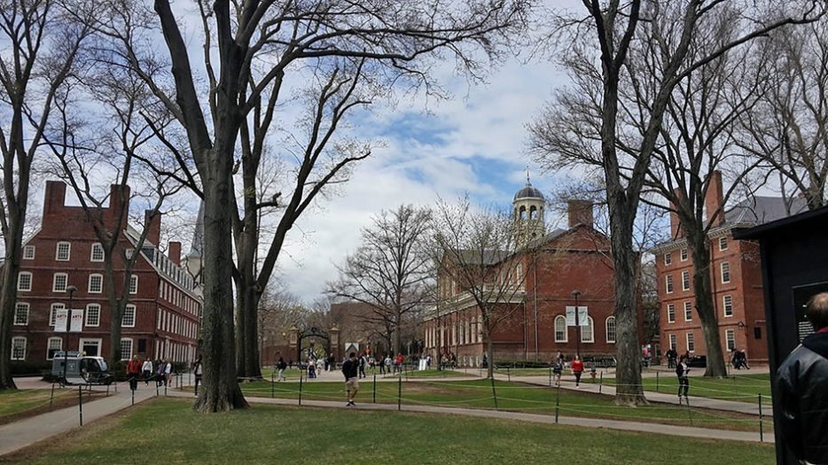 Harvard Üniversitesi kampusu