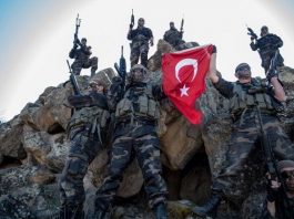 bordo bereliler pkk askeri tsk pkk hdp demirtaş çözüm süreci akp 400 milletvekili vekil