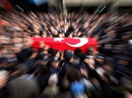 şehit vatan terör korku şehit haberleri