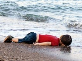 Küçük balığın hikayesi