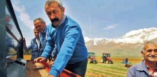 tkp fatih mehmet maçoğlu ovacık dersim tunceli tarım devrimi komünist