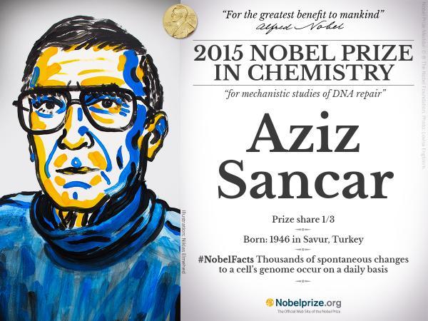aziz sancar 2015 nobel ödülü kimya dna kanser araştırması