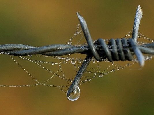 tek partili toplu infaz seceresi partili darbeler pkk büyük ortadoğu projesi partili