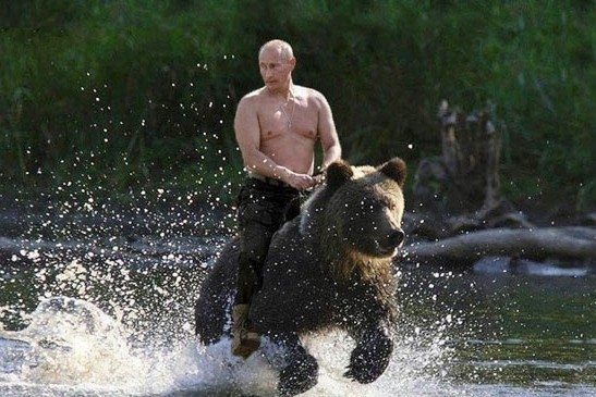 rus ayıları putin rusya savaş uçak krizi jet