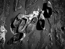 Çamurdan İnsan Yapmak - İndigo Dergisi