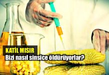 Katil mısır: Ne yediğinizi biliyor musunuz?