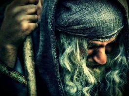 socrates sokrates kimdir socrates tekrar doğuş platon