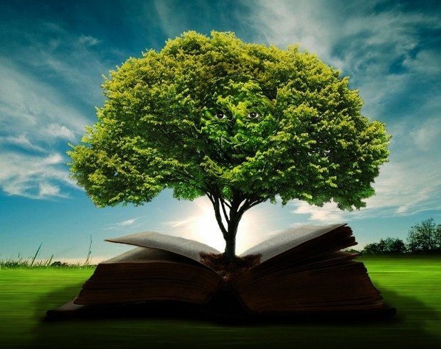 bilgi bilgelik antik yunan felsefe sözleri filozof hayat ağacı bilgelik ağacı
