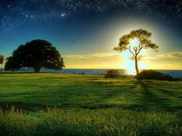 bilgi bilgelik antik yunan felsefe sözleri (2)