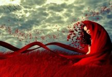 Türk Kadını ve cinsellik: Kan kırmızı tabular türk kadını kadınlar kadın kan kırmızı tabular