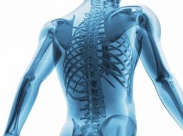 kas iskelet sistemi yorgunluk sağlık türkiye