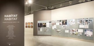 İstanbul Modern'de Habitat fotoğraf sergisi