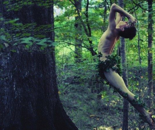 acı zevk deneyim ruhsal tekamül