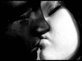 ying ve yang kadın erkek eril dişil anima anismus