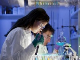 İngiliz bilim insanları, araştırma amacıyla insan embriyosunun genlerini değiştirmek için izin aldı