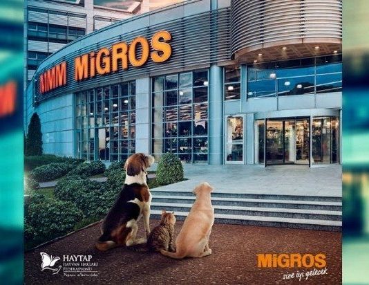migros hayvan barınak haytap son kullanma tüketim tarihi ürünler gönüllüler