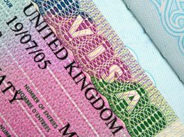 vize ingiltere avrupa schengen girişimciler türkiye vatandaşları