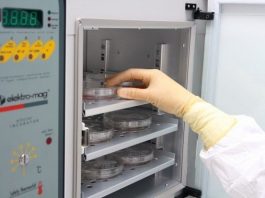 yaşam bankası nedir kök hücre tedavisi kan ve kordon dokusu