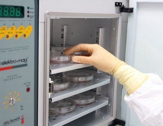 yaşam bankası nedir kök hücre tedavisi kan ve kordon dokusu