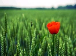 80’in Sonbaharında O henüz 17 yaşındaydı