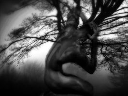 Bağ: Elinde bıçak vardı ağzını bıçak açmıyordu