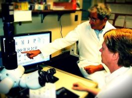 DNA Diyeti nedir? Genlere göre nasıl bir beslenme tarzı? DNA diyeti nasıl yapılır? DNA diyeti ile en uygun egzersiz tipi nasıl belirlenir?