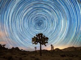 Eşzamanlılık nedir? Nasıl yaşanır?