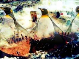 Türkiye'de hükumete karşı kitlesel bir eylem olarak tarihe geçen Gezi Direnişi, Kanada'da Concordia Üniversitesi'nde teze konu oldu.