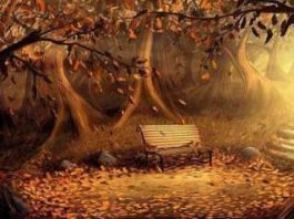 Her şey hayal etmekle başlar