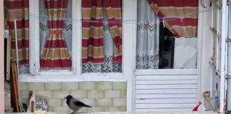 “İstanbul’un Kadın Renkleri” sergisi KHAS’ta İstanbul'un kadın renkleri sergisi