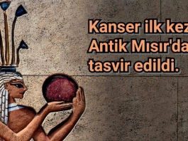 Günümüzde kanser, dünyanın en büyük sağlık sorunlarından biri. Kanser türleri hakkında her geçen gün yeni bilgiler öğrenmeye devam ediyoruz. Peki kanser hakkında gerçekte ne biliyoruz? İşte kanser hakkında bilinmeyen 9 ilginç gerçek...