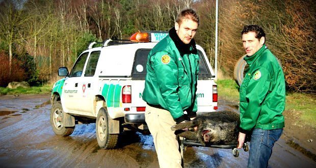 WWF Türkiye yaban hayvanlarına ilk yardım eğitimi