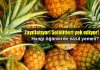 Ananas zayıflatıyor: Selülit ve ödemleri yok ediyor