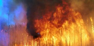 Kanada Alberta'da yangın; 60 - 100 bin kişi tahliye edildi
