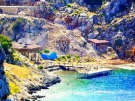 Marmaris'te orman katliamı: Cennet koya kepçeler girdi