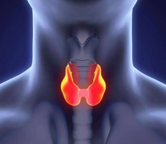 tiroid hormonu