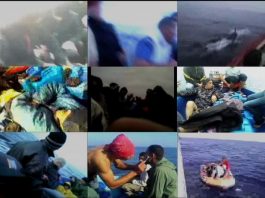 Sadece Genç Manifesto!