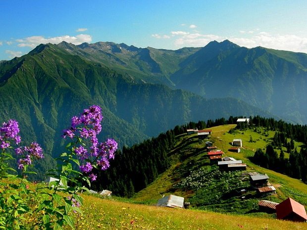 Doğu Karadeniz: Rize, Ayder Yaylası, Trabzon, Artvin