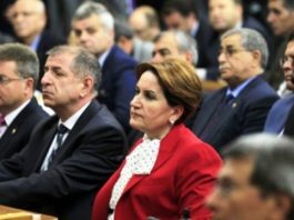 Milliyetçi Hareket Partisi mhp meral akşener
