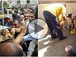 eminönü baklava izdihamı vs. eğitimli köpekler video ODTÜ 5 mart 1971 yurt