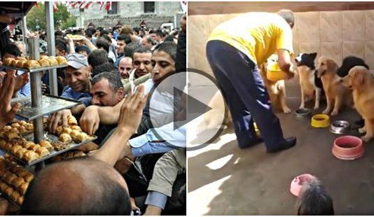 eminönü baklava izdihamı vs. eğitimli köpekler video ODTÜ 5 mart 1971 yurt